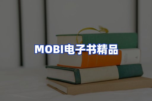 外文电子书产品